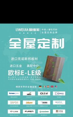 彭山丽维家全屋定制