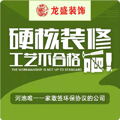 龙盛装饰（河池店）