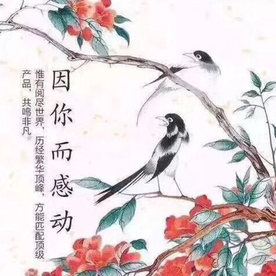 御桑翁丝绸