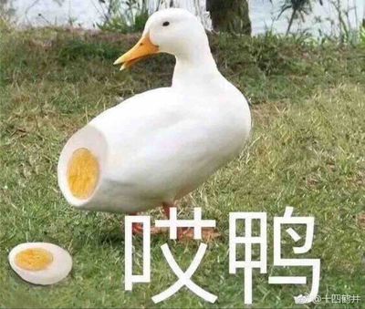 闫忠文随笔