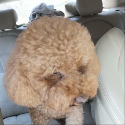 筑利百佳门窗