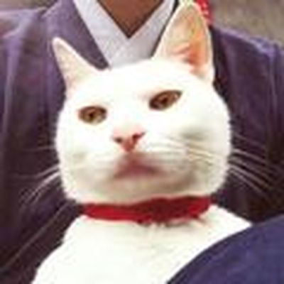 南京姜友进