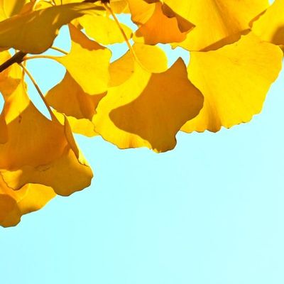 平舆掌上明珠全屋定制
