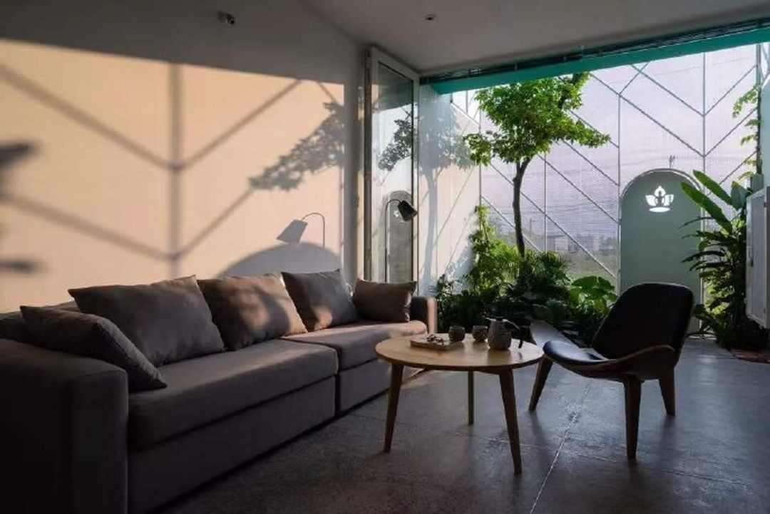 种满绿植的家居空间装修效果图片_7