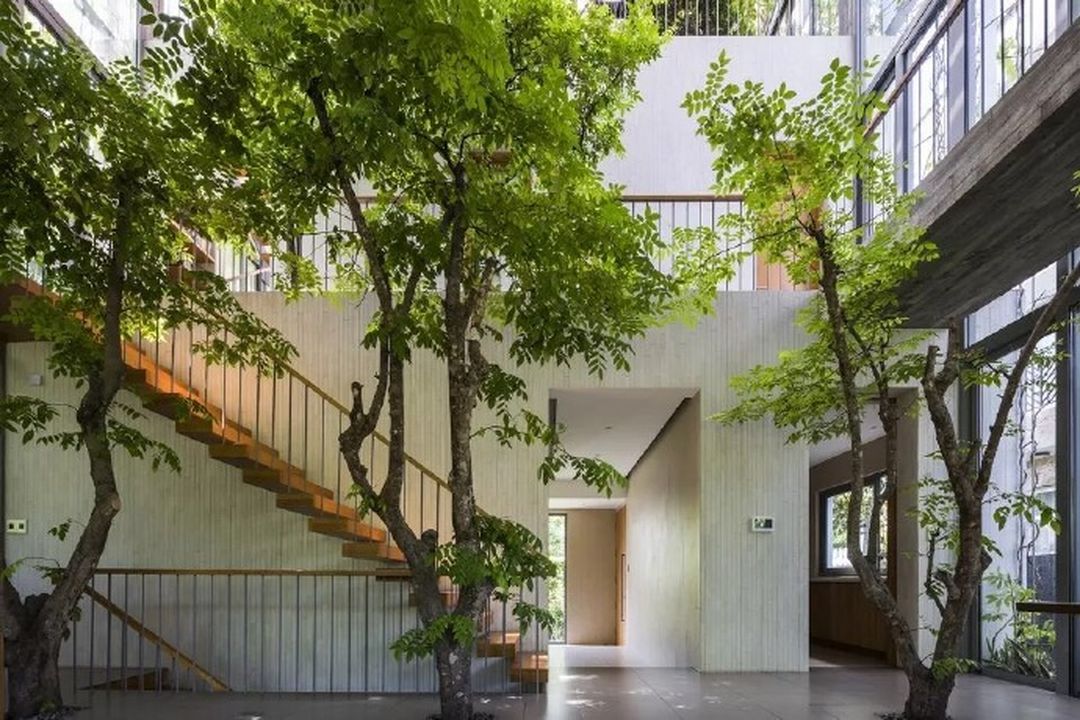 种满绿植的家居空间装修效果图片_2