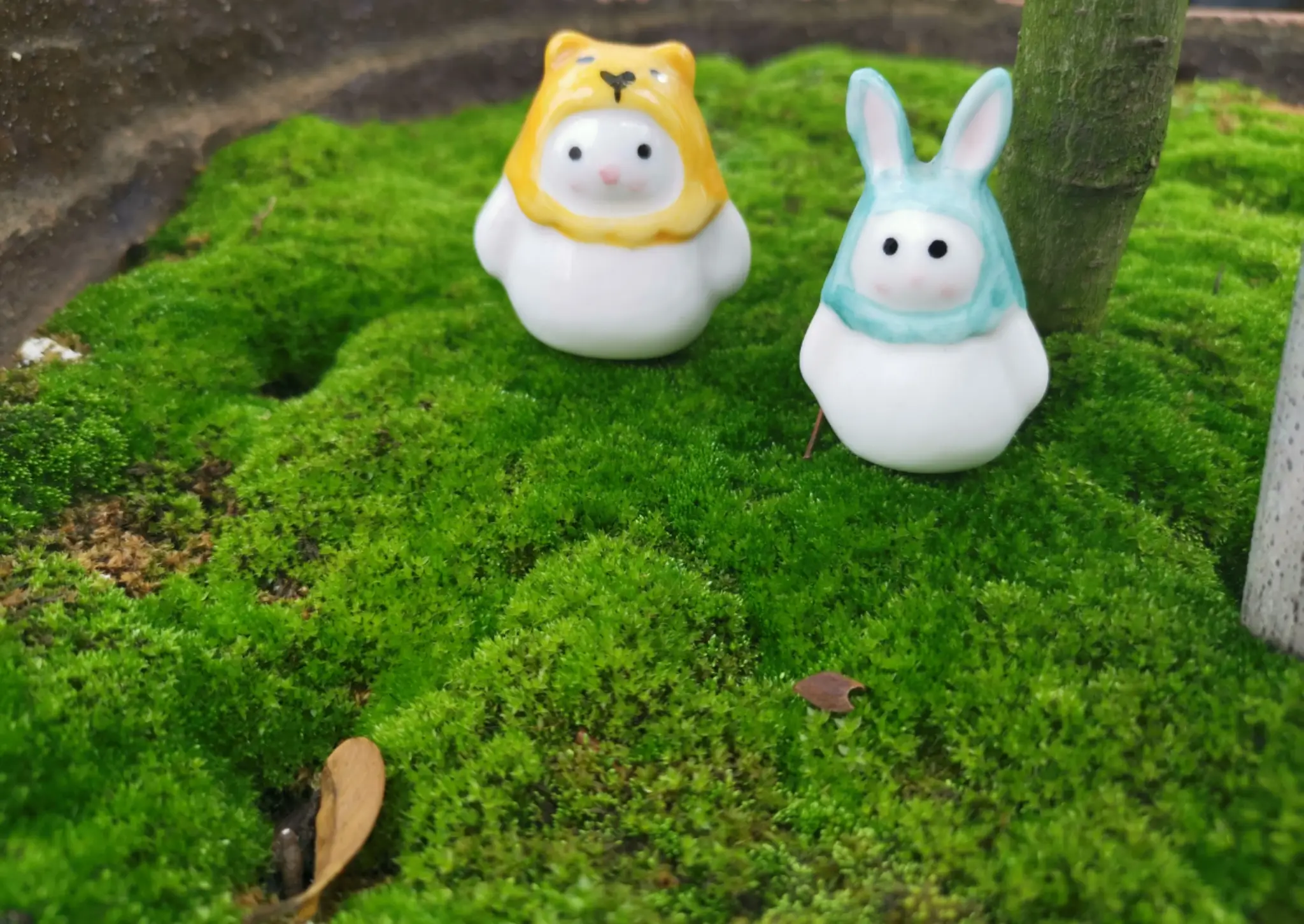 遛遛小动物😊图片_1