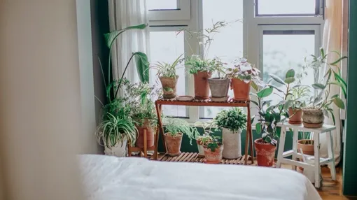 60平米森系小窝，打造温馨复古风