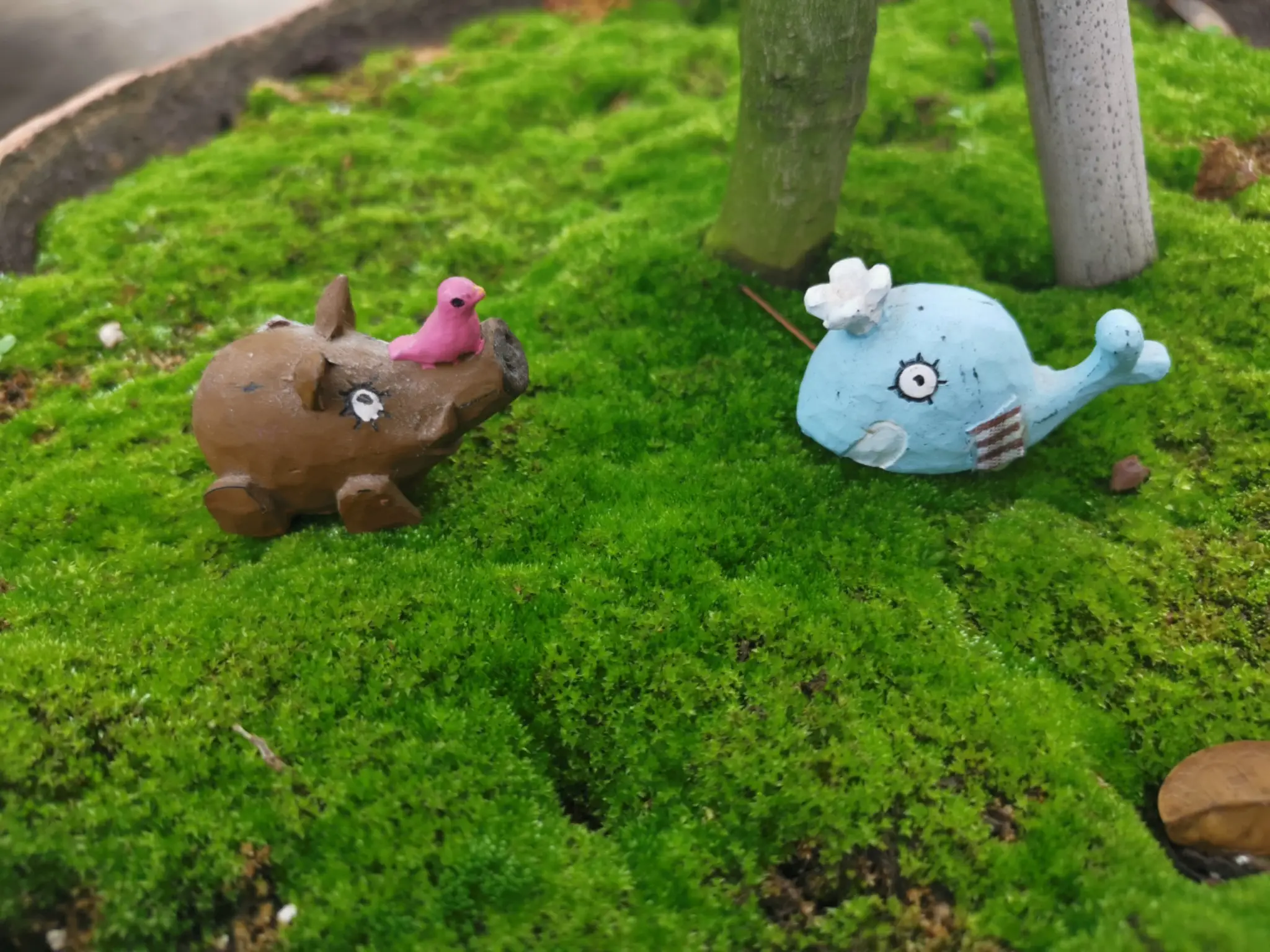 遛遛小动物😊图片_2