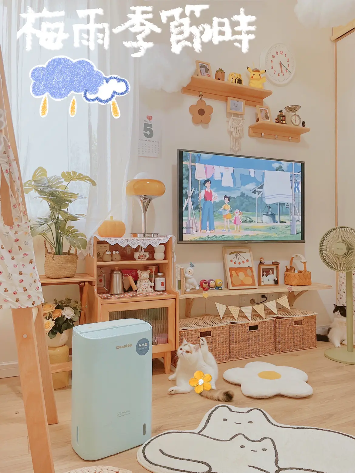 没有阳台的老破小梅雨季好物@住造计划图片_0