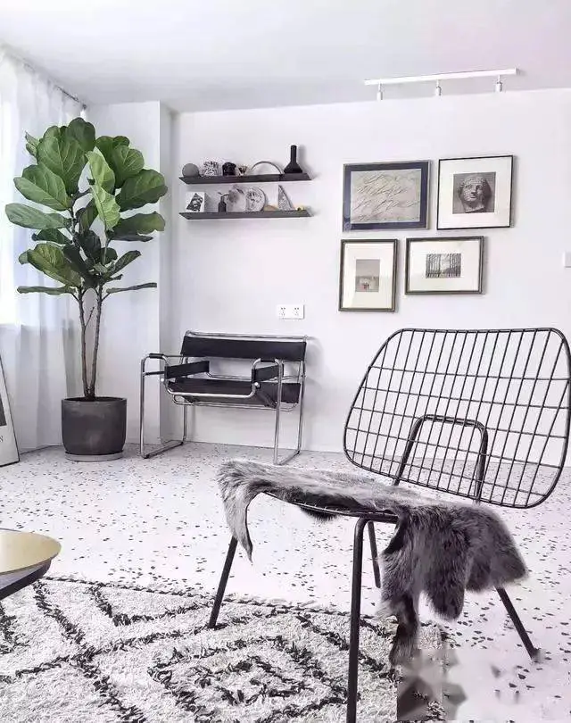 图片_3