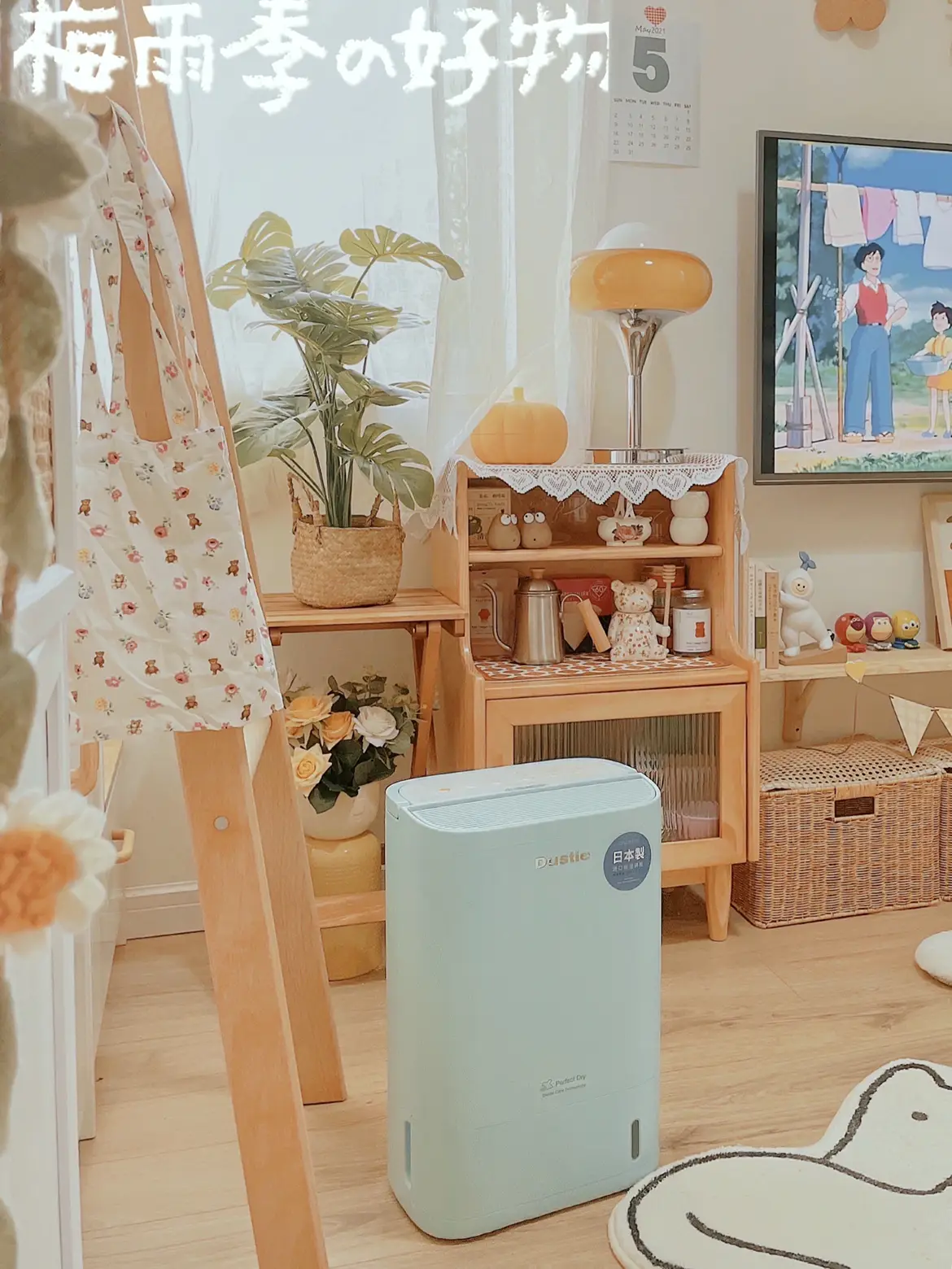 没有阳台的老破小梅雨季好物@住造计划图片_1