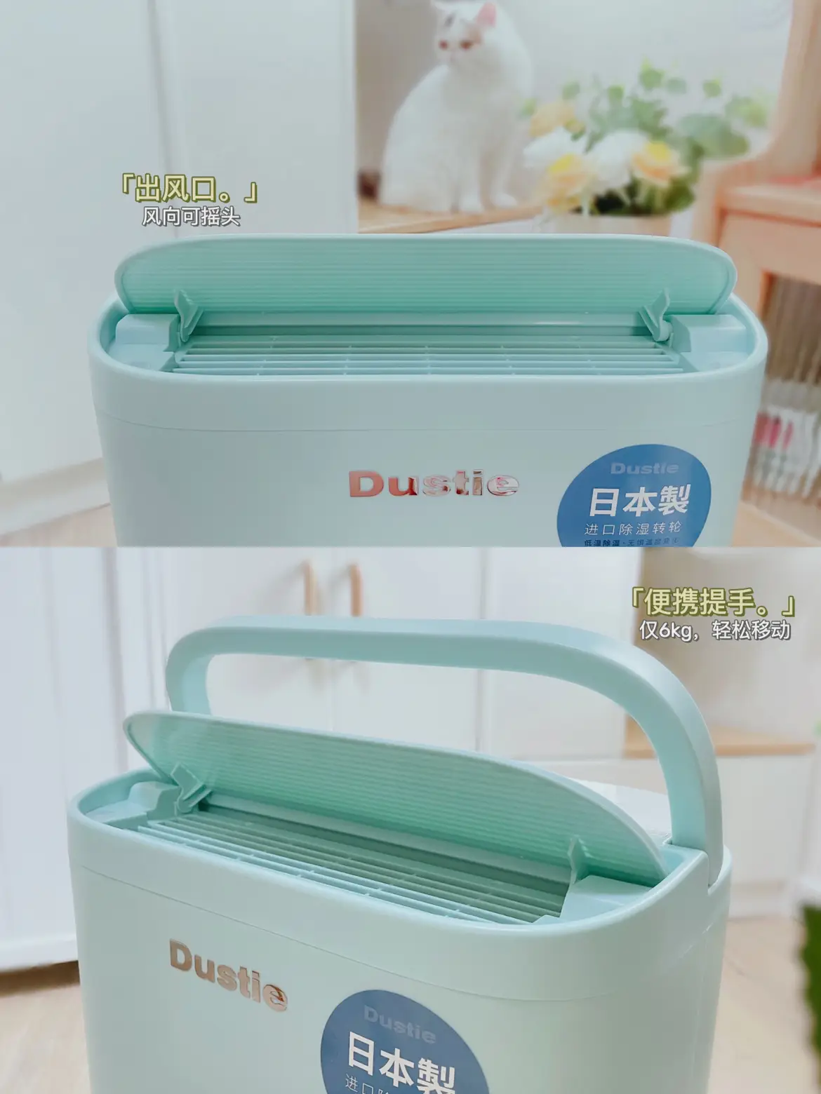 没有阳台的老破小梅雨季好物@住造计划图片_6