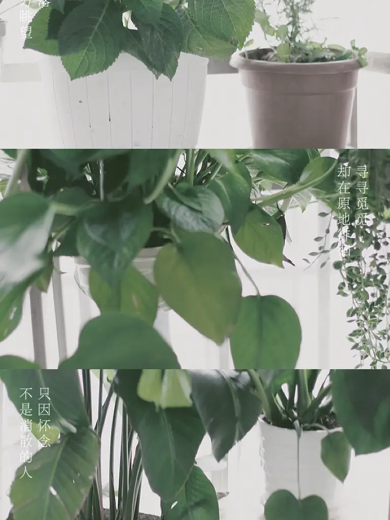 图片_7