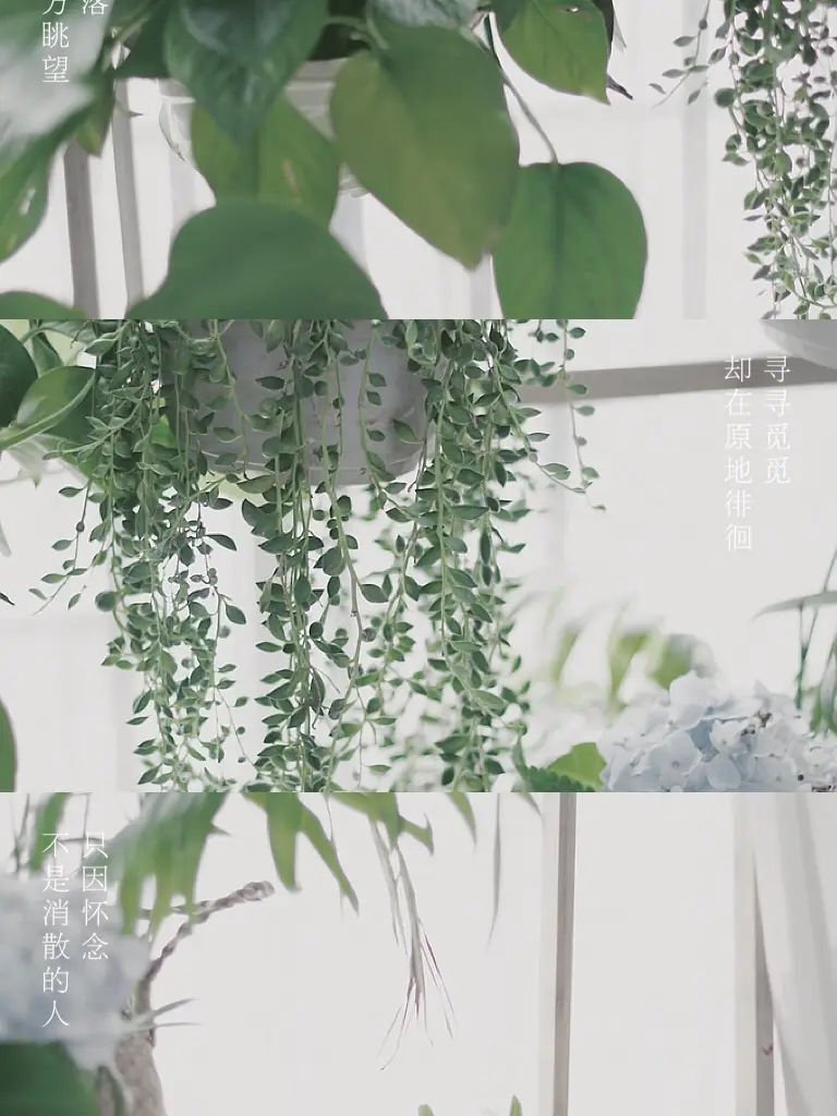 图片_6
