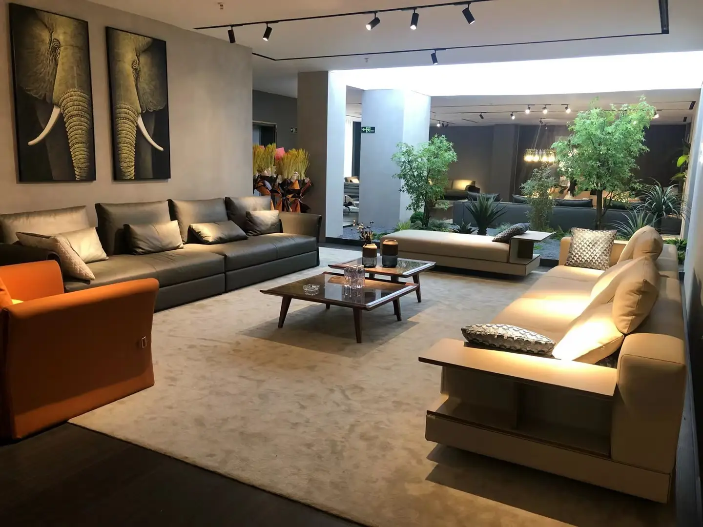 不一样的家具展示图片_0