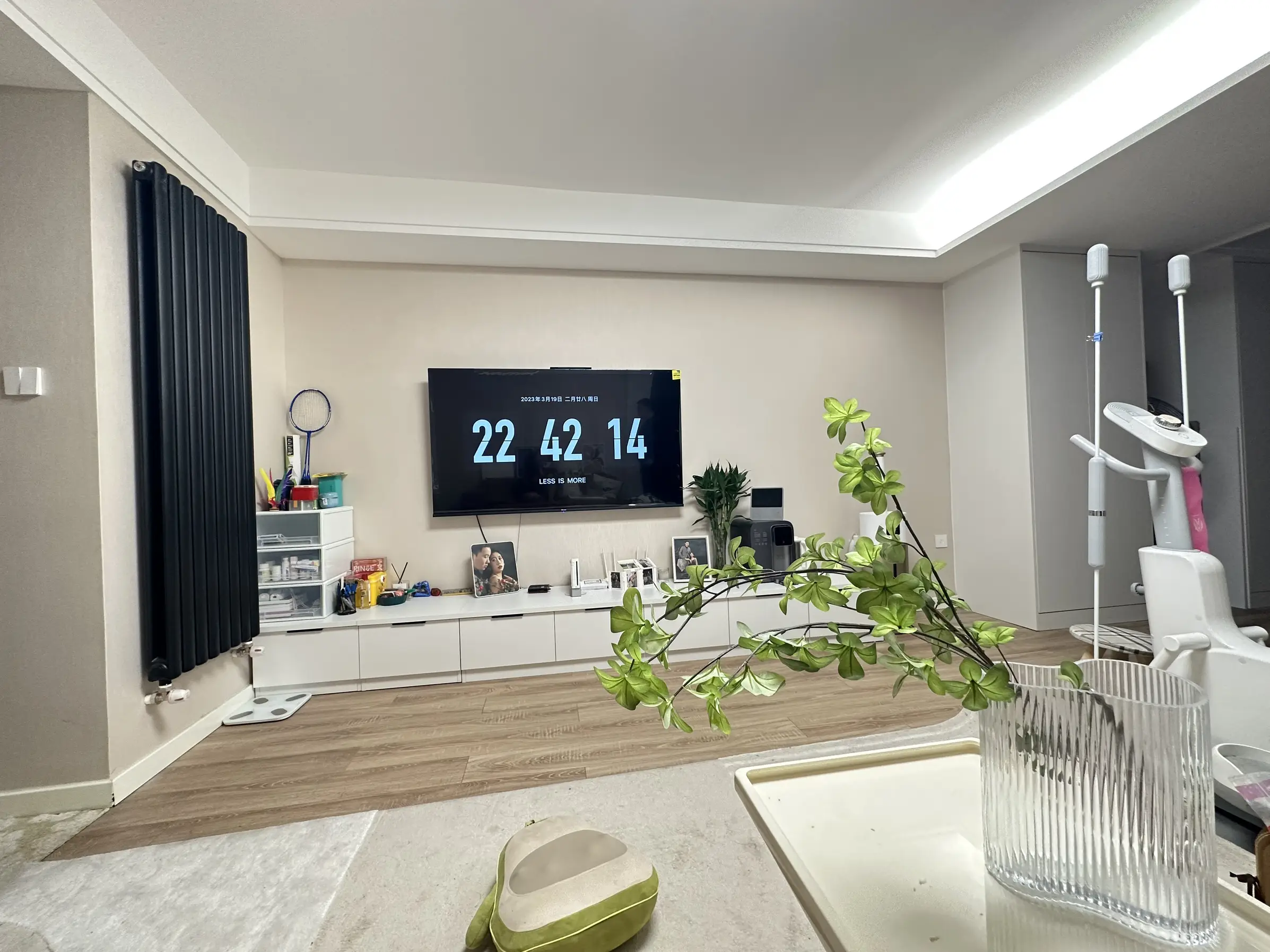 小户型大储纳电视柜图片_1