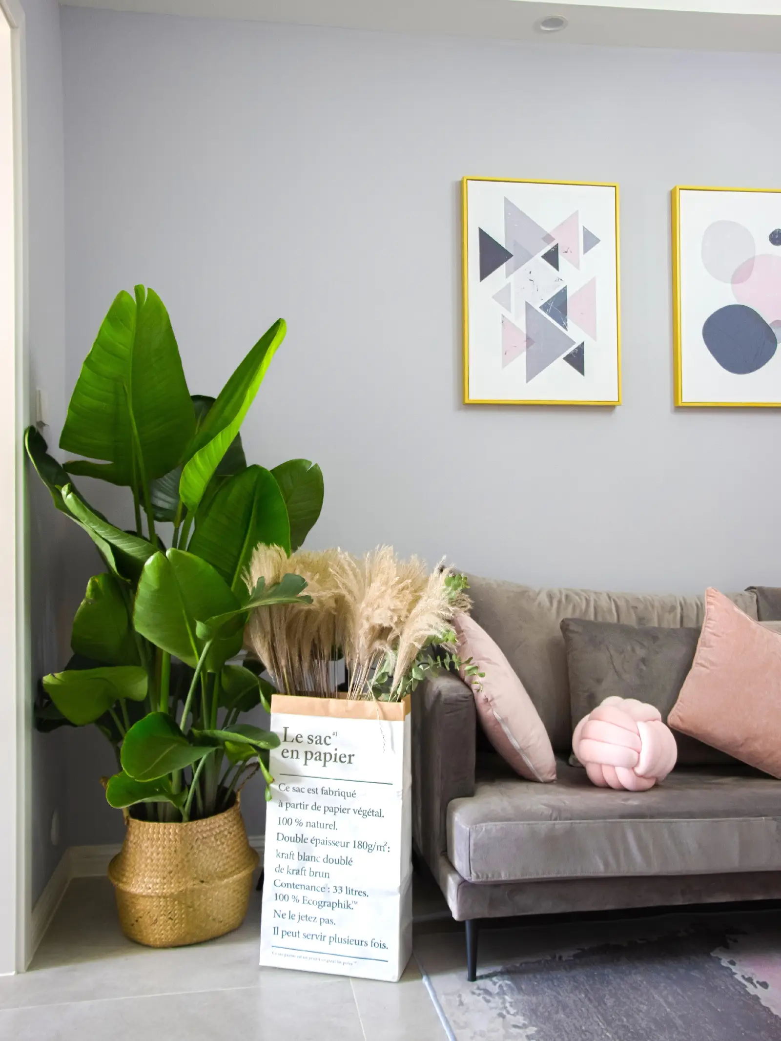 Ins感北欧风清新客厅，乳胶漆颜色怎么搭图片_4