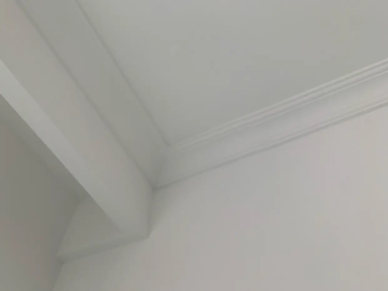 装修日记｜第44天｜被立邦杏子灰惊艳了图片_4