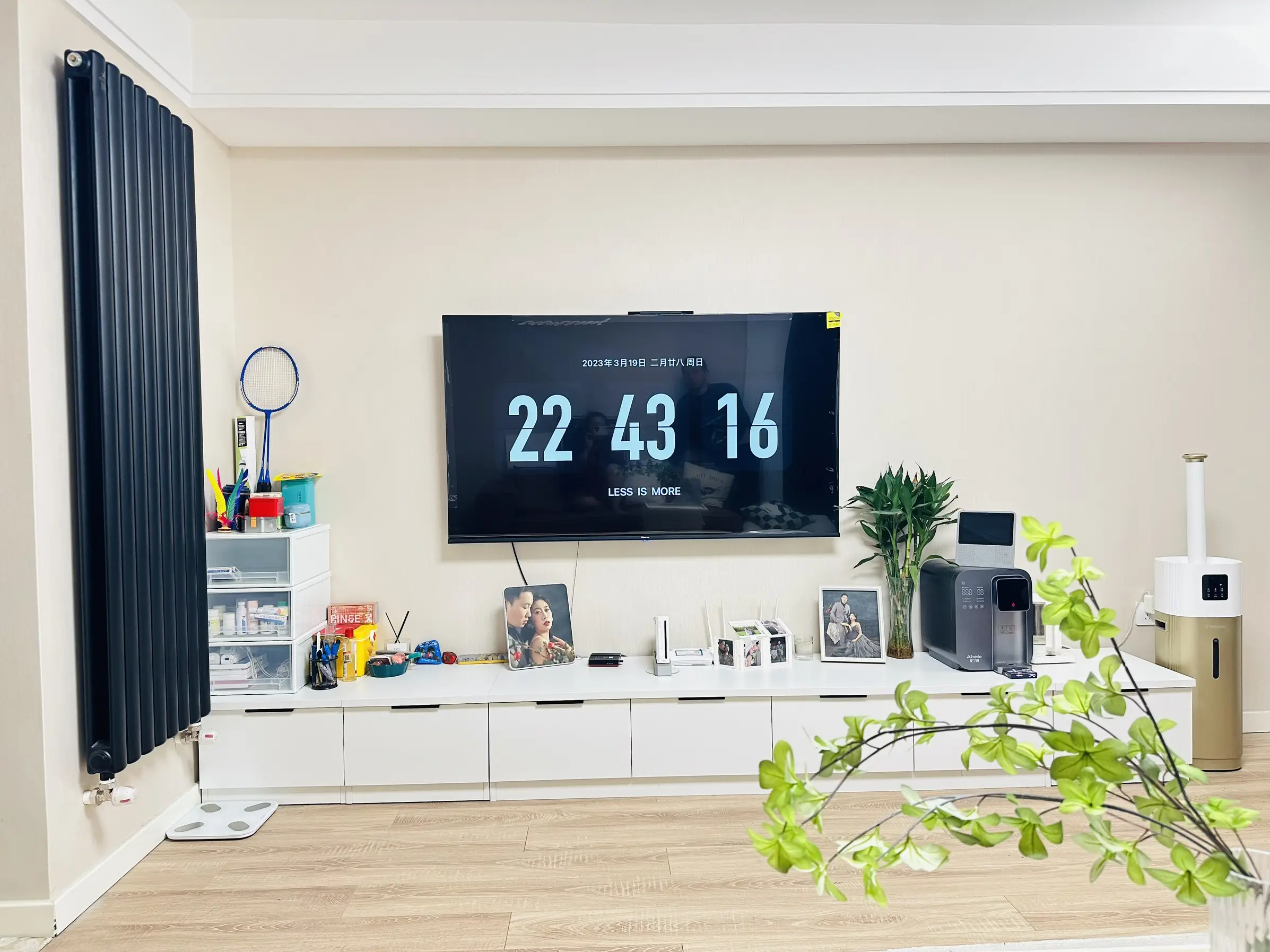 小户型大储纳电视柜图片_3