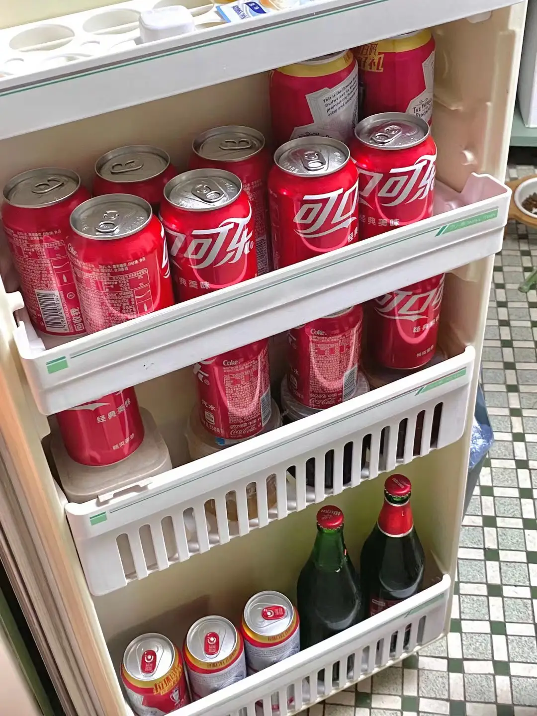 听说大家对我的绿皮冰箱很感兴趣图片_8