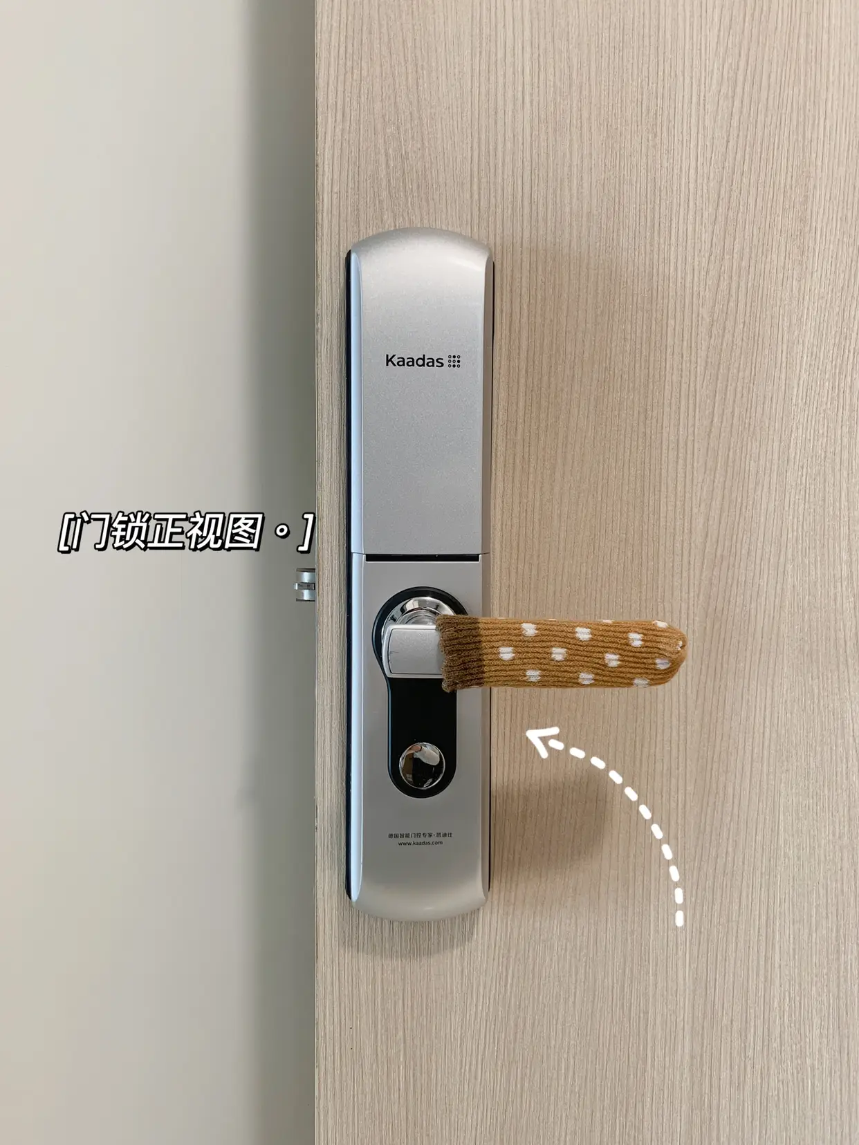 我家精装房的智能门锁Kadaas图片_1