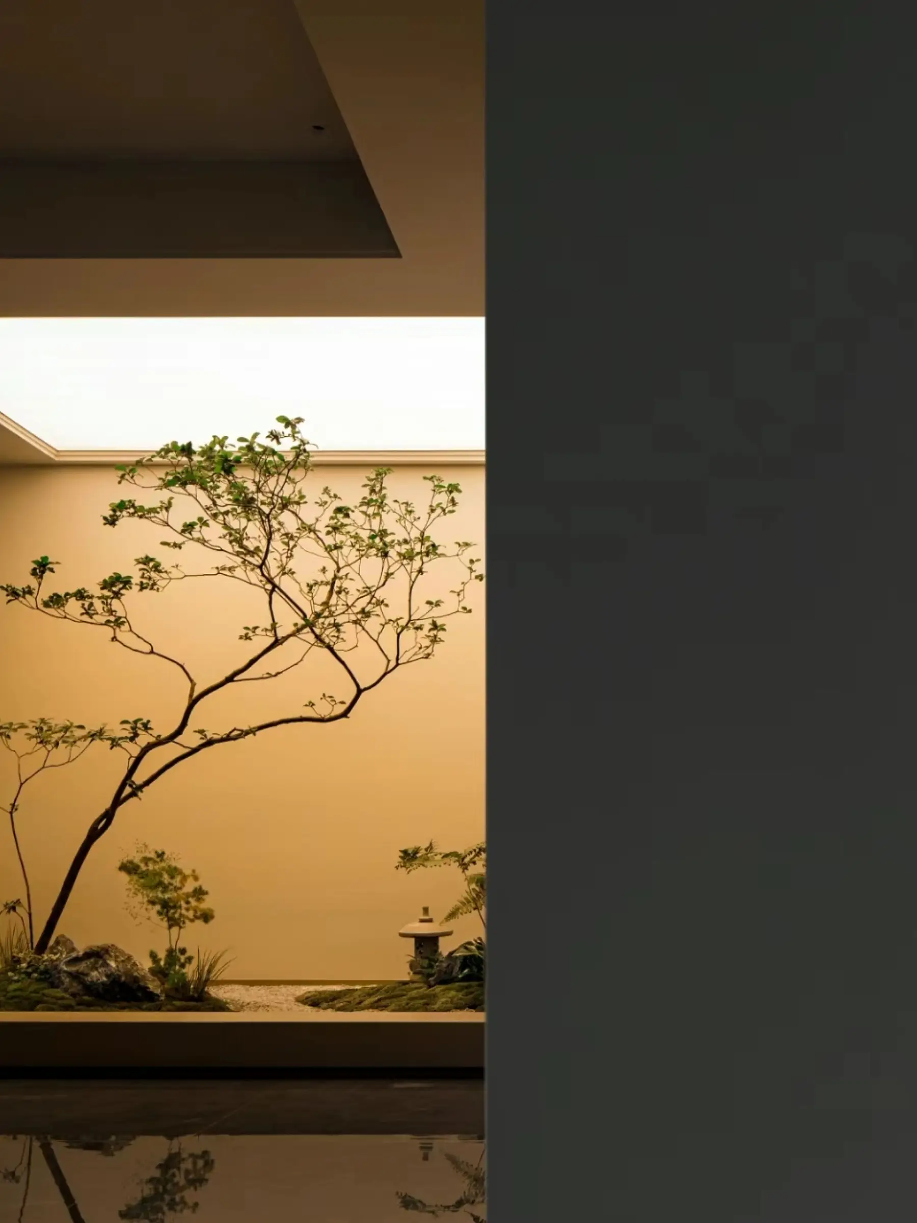 室内造景：给繁忙的生活带来一份自然之美图片_5