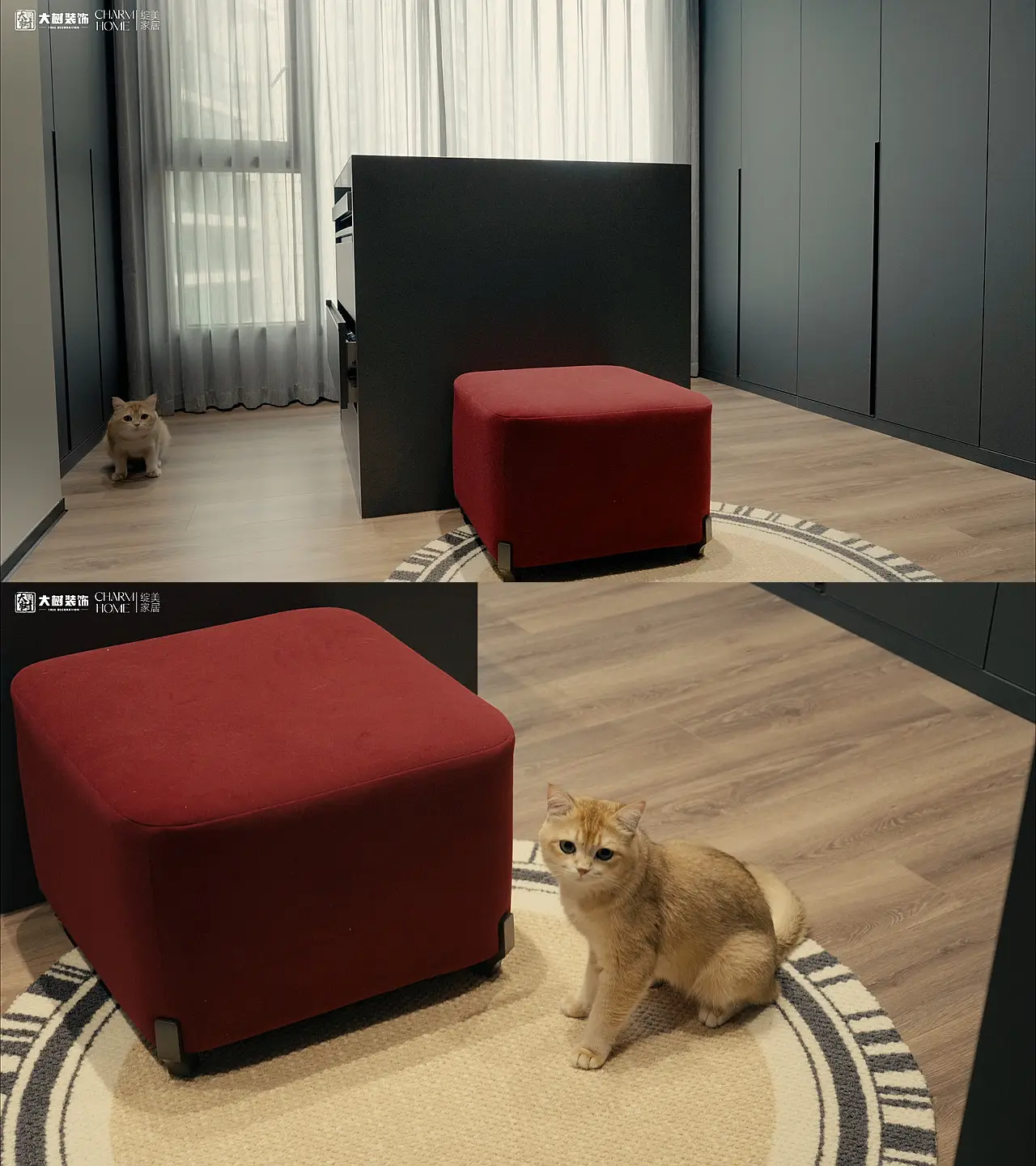 现代轻奢风落地，今天是猫主子守家，喵🐱图片_1