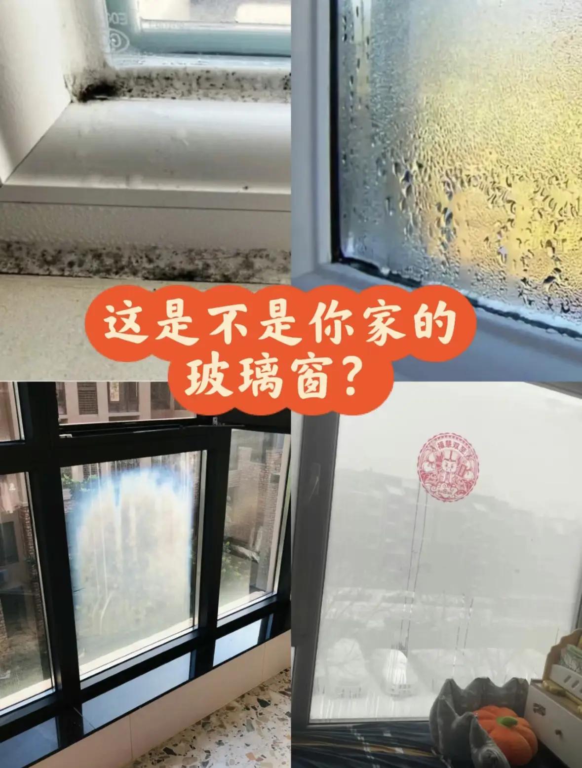 怎样能让您干挑万选的系统窗不再留遗憾？图片_0