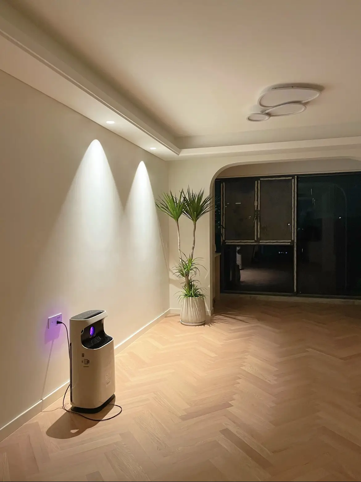 射灯让绿植灵动起来了🥰图片_4