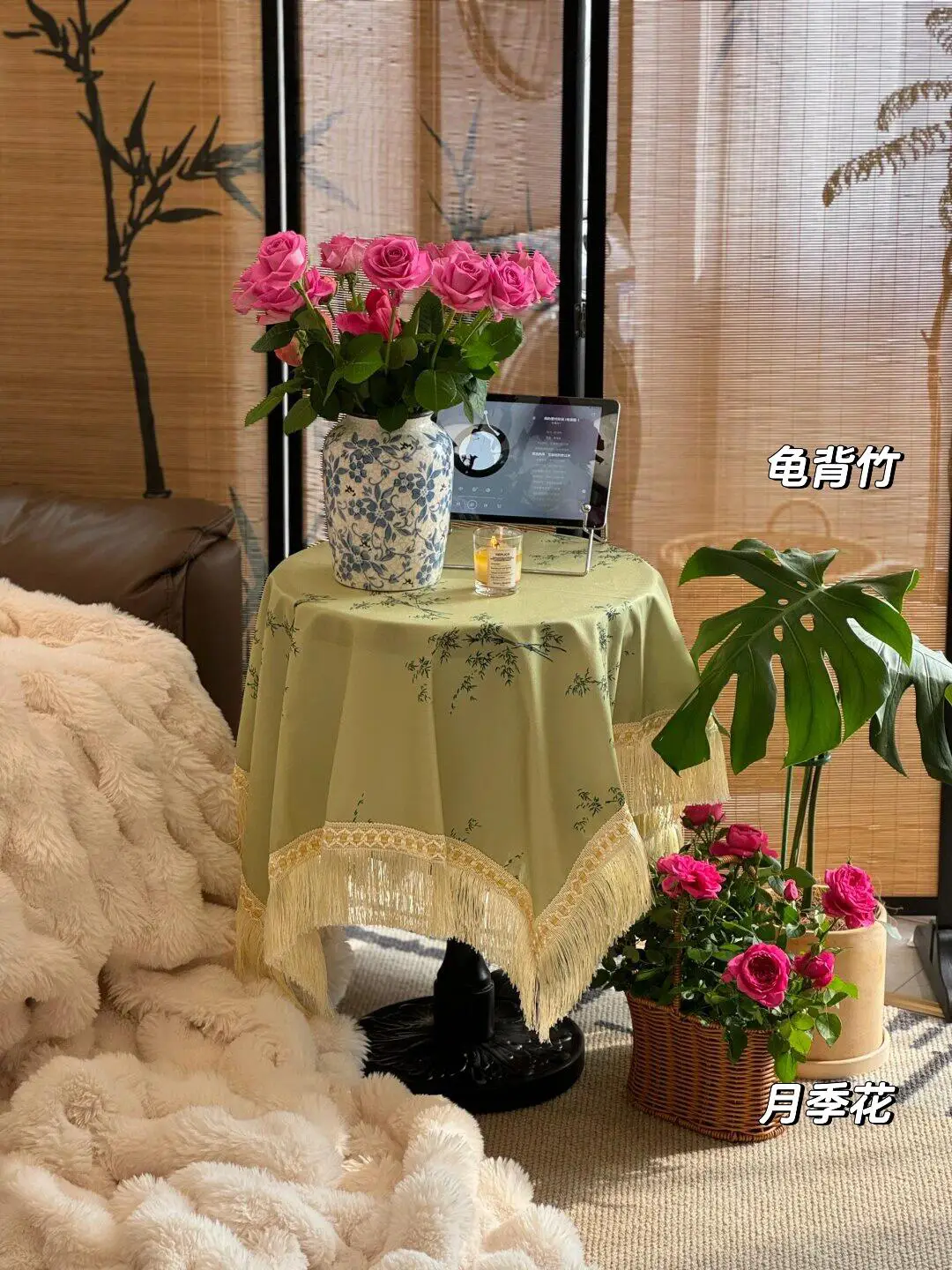 亲测鉴定，省心好养的绿植清单分享图片_3