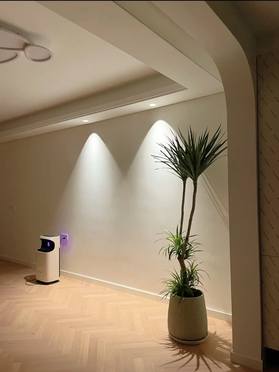 射灯让绿植灵动起来了🥰图片_3