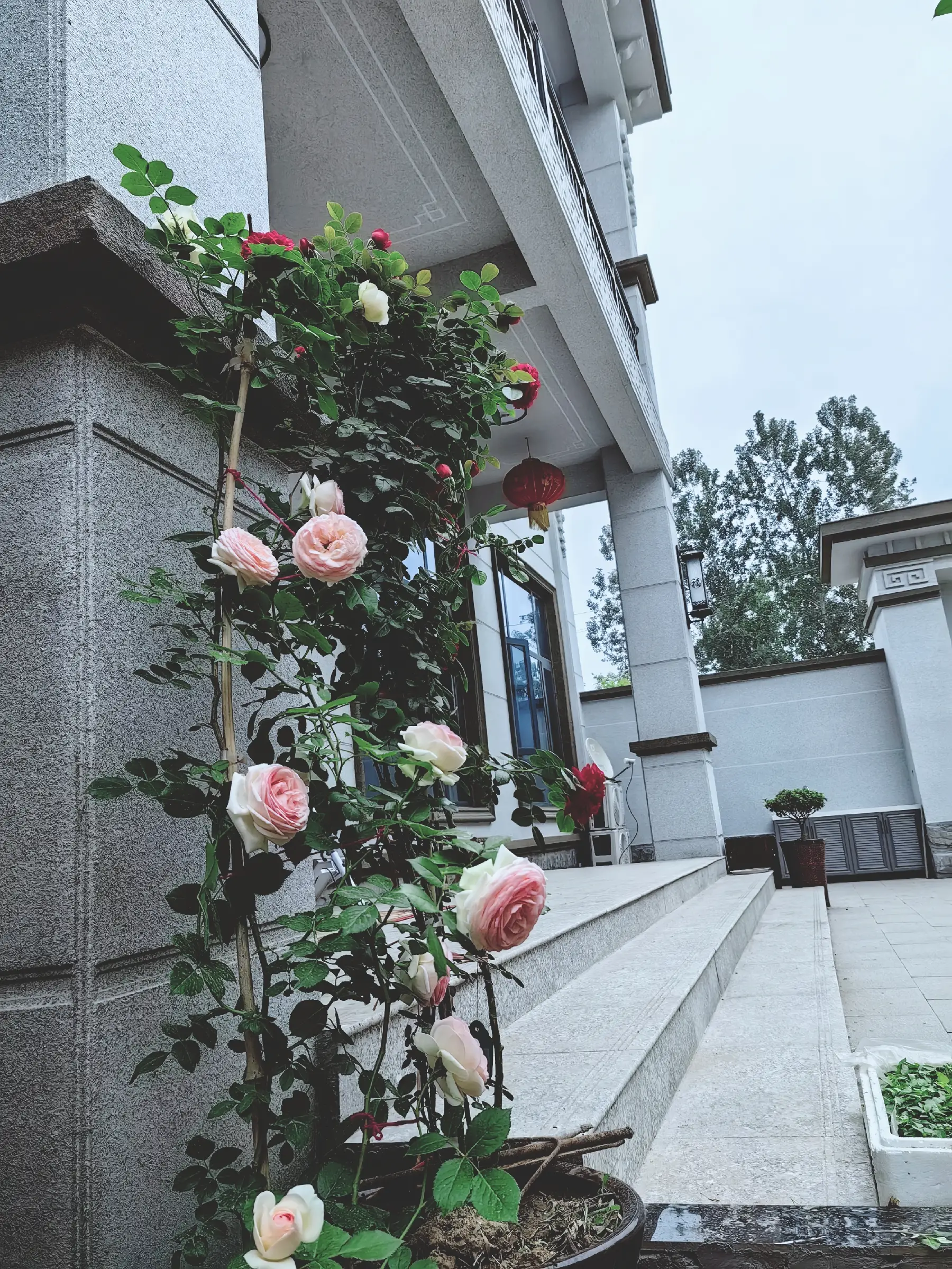 我的农家小院图片_0