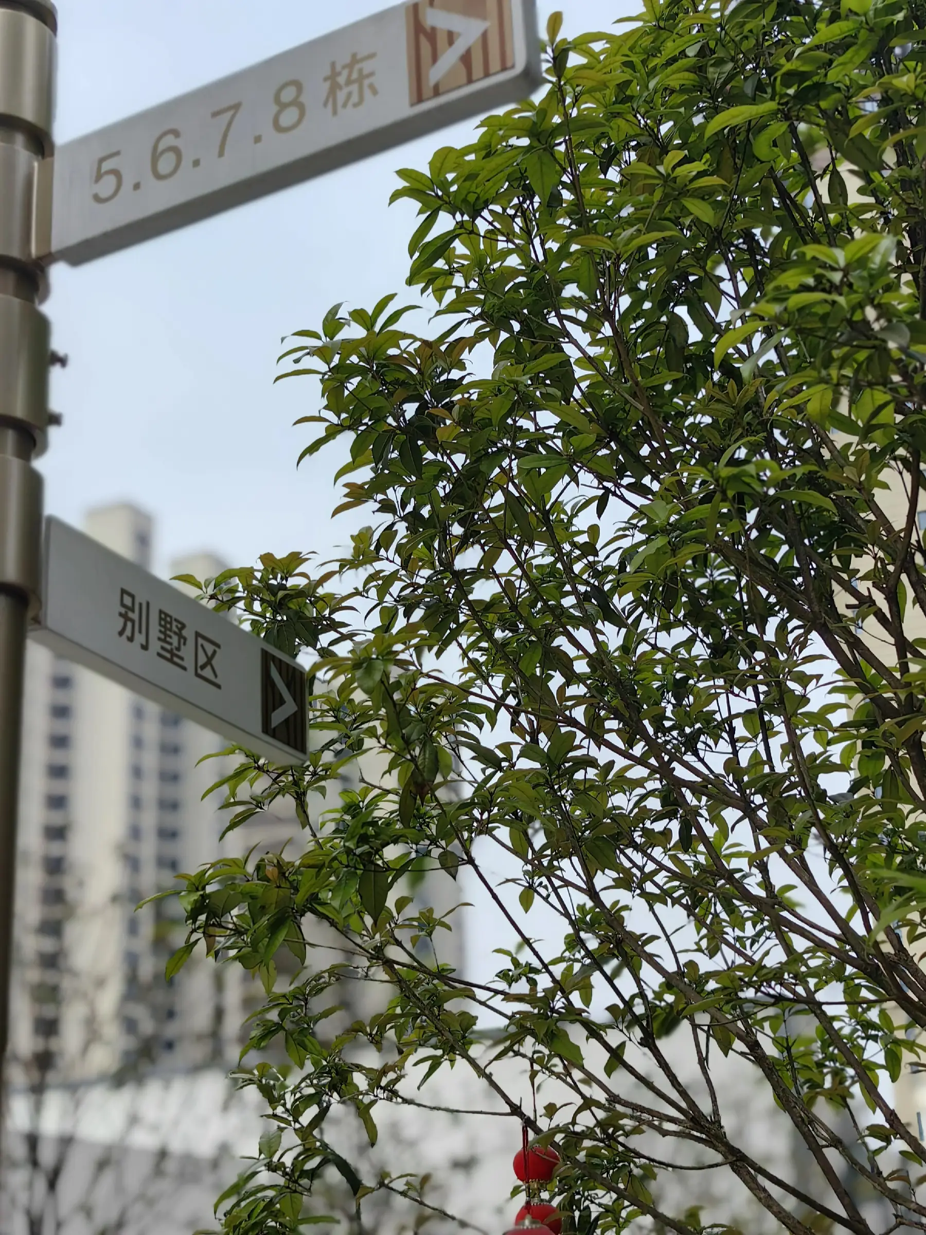 别墅设计，让你的家成为诗和远方🌳图片_0