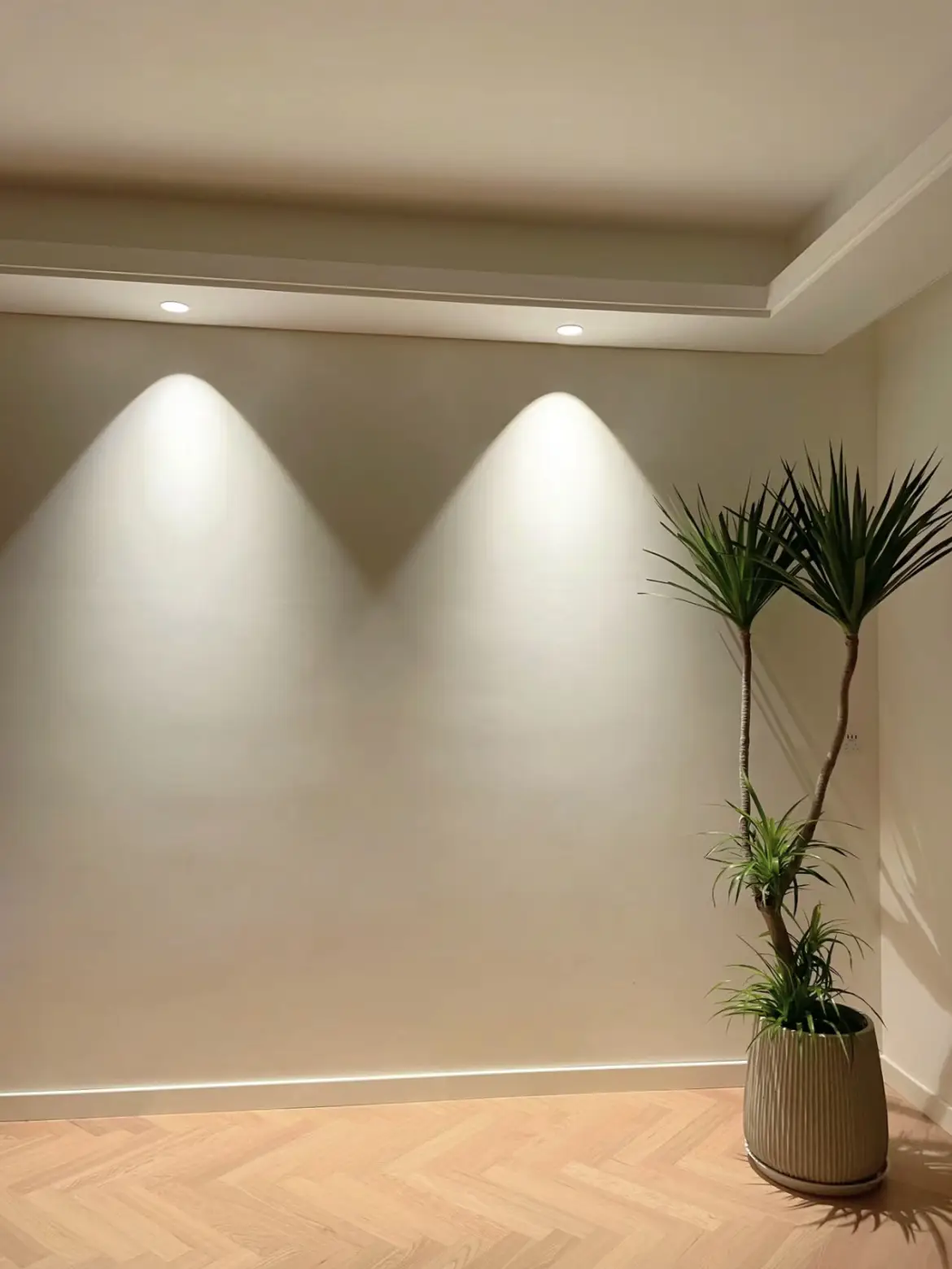 射灯让绿植灵动起来了🥰图片_0