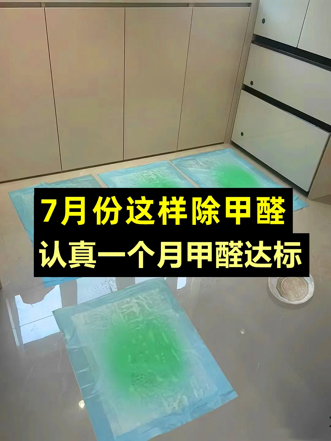 7月这样除甲醛图片_0