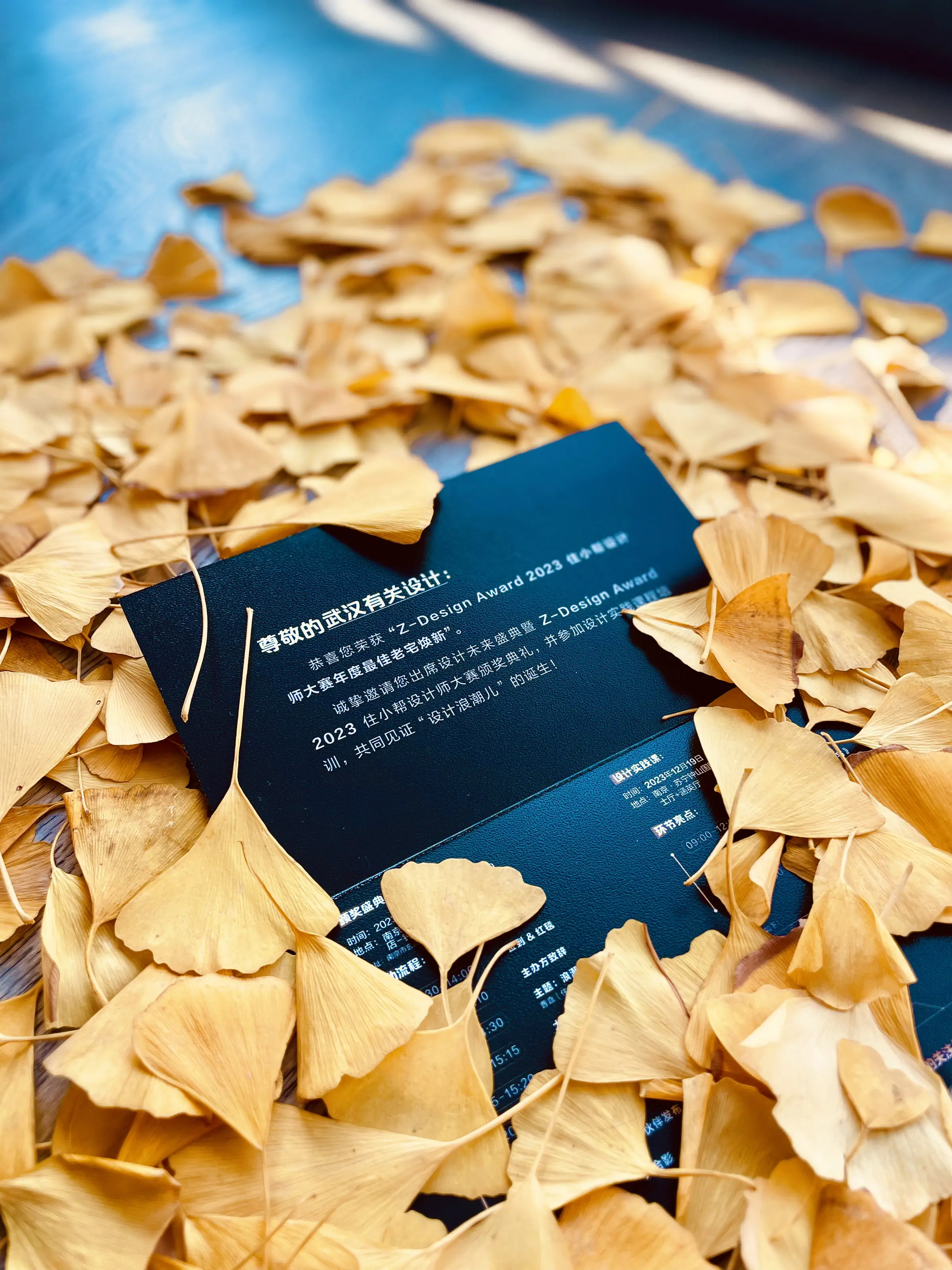 深秋续到初冬的邀请函…图片_1