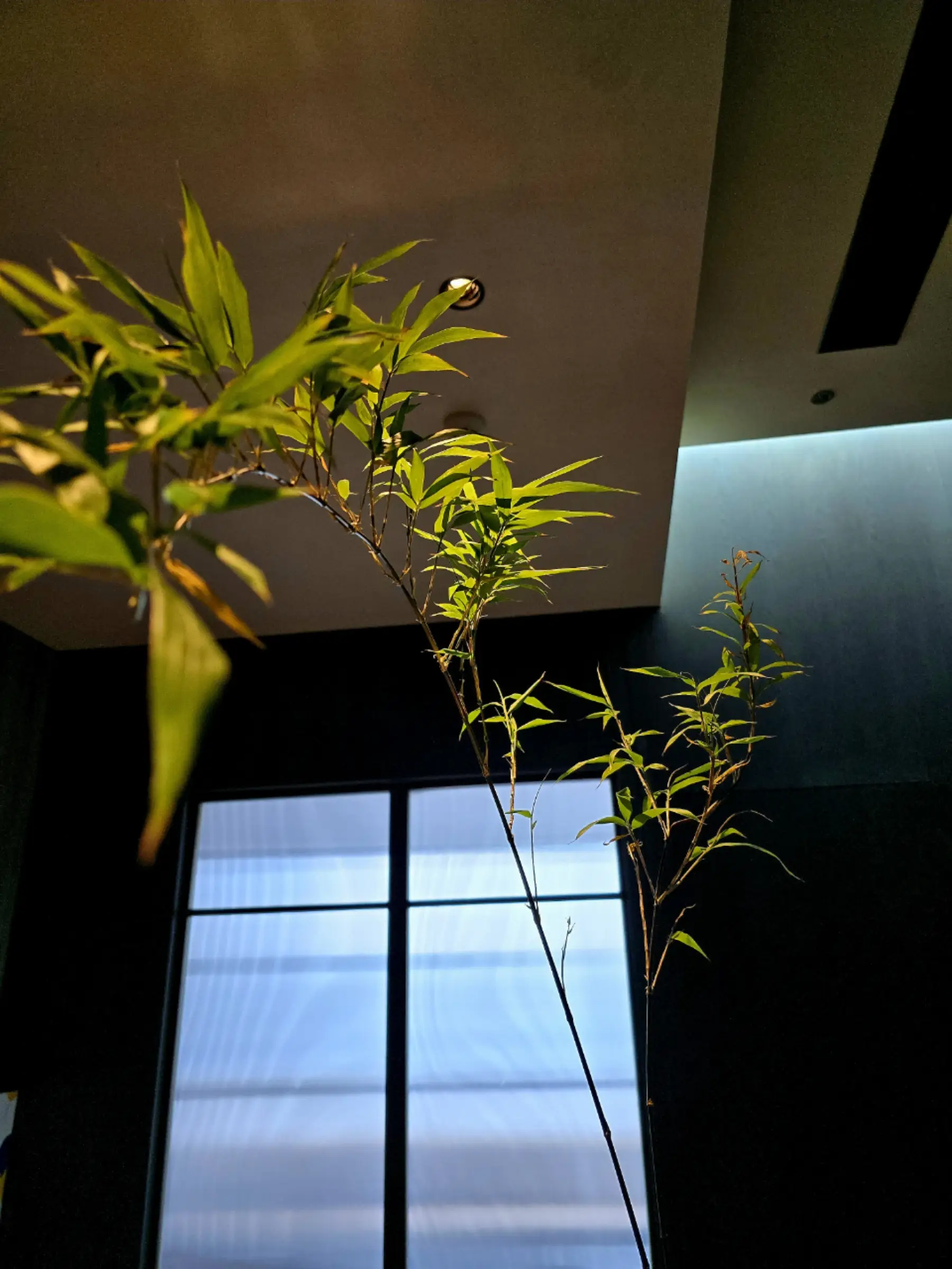 家居小改变，让你过上清爽舒适的夏天！🍹🌴图片_6