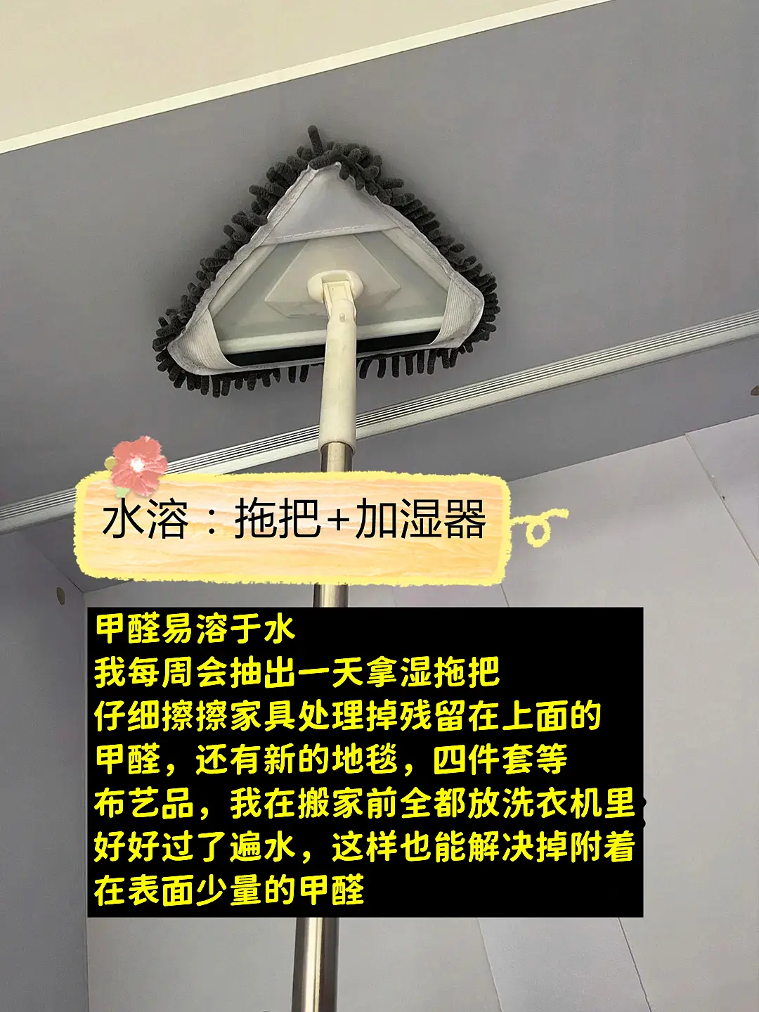 这样除甲醛真快图片_6