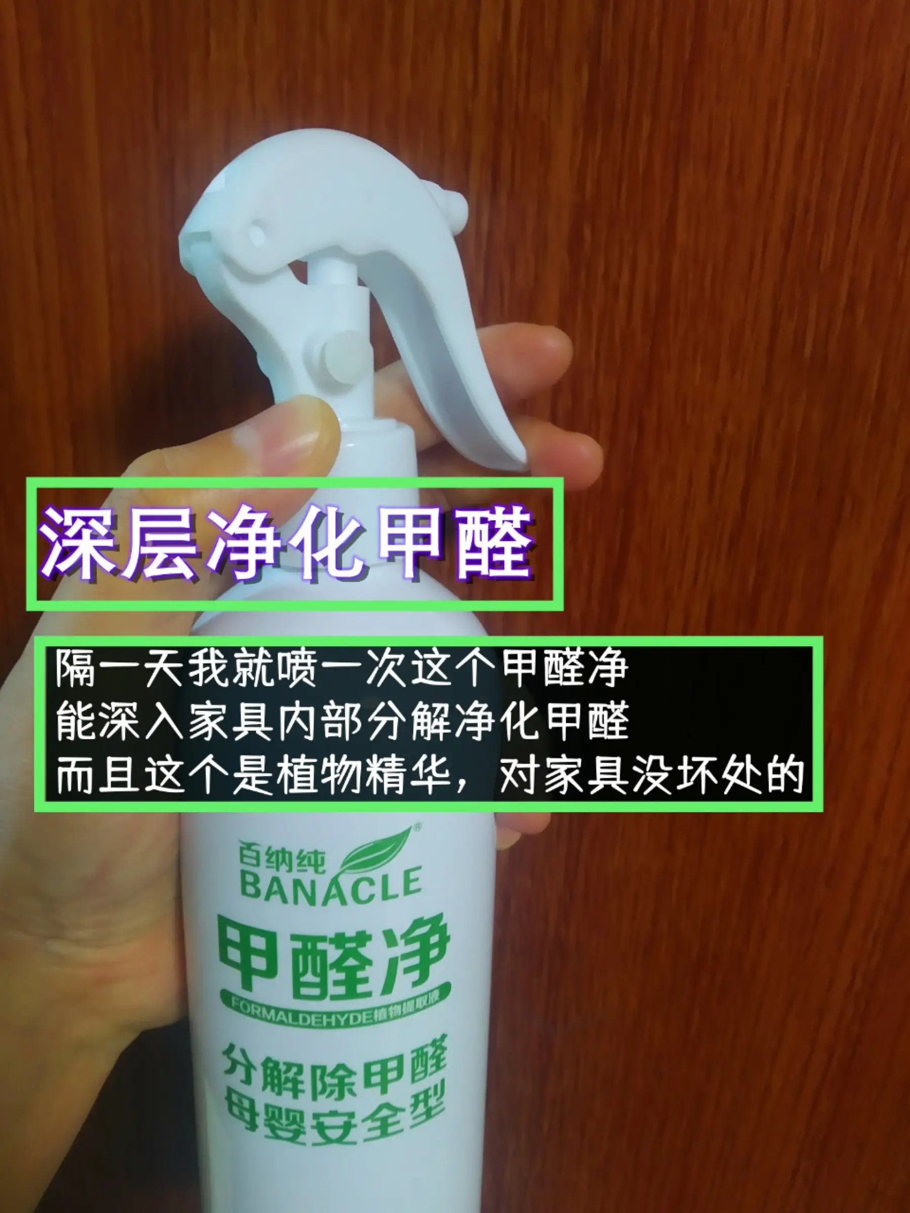 教你一个月降低甲醛图片_5