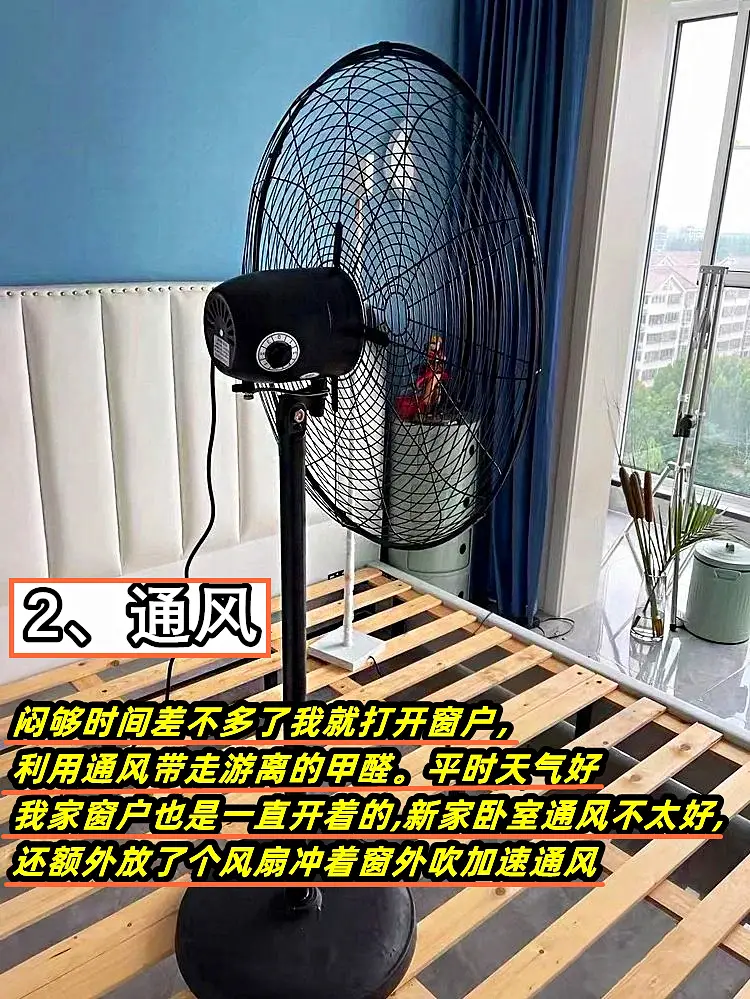 7月这样除甲醛图片_3