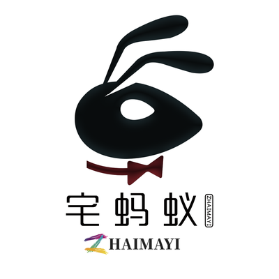宅蚂蚁装饰工程集团