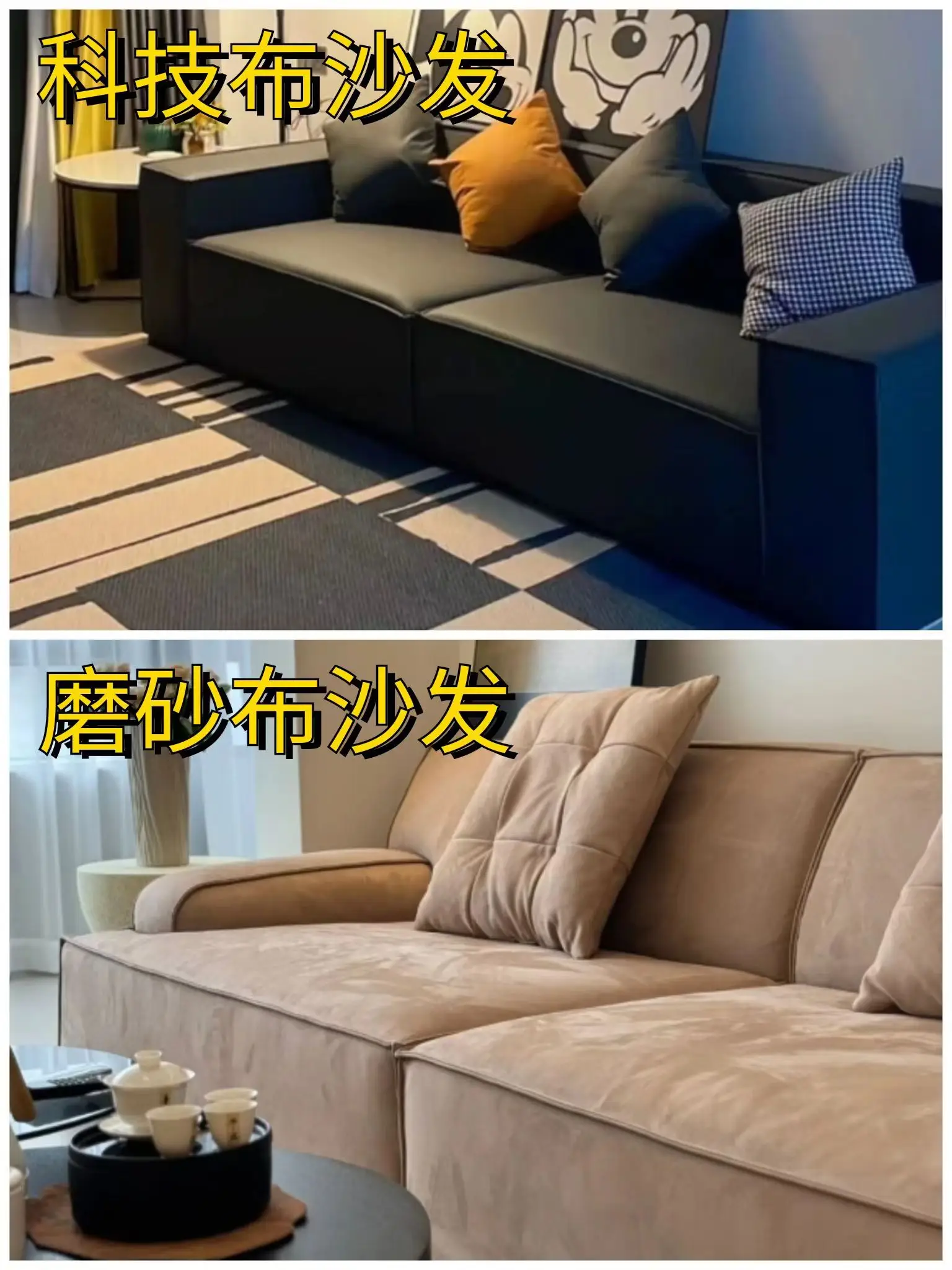 养宠一族必看，6点打造舒适宜居空间🐾图片_6