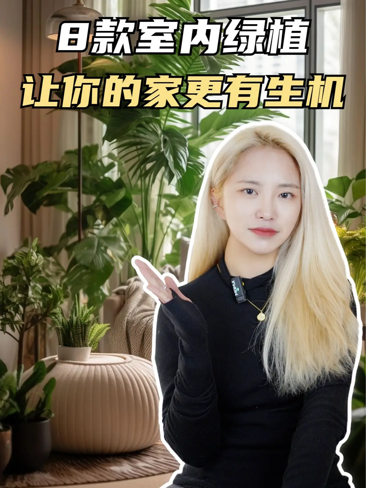 8款室内绿植，让你的家变身森林般清新 🌳