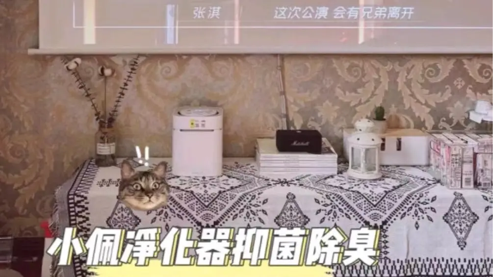 养宠物不用愁，这些神器帮你打扫干净