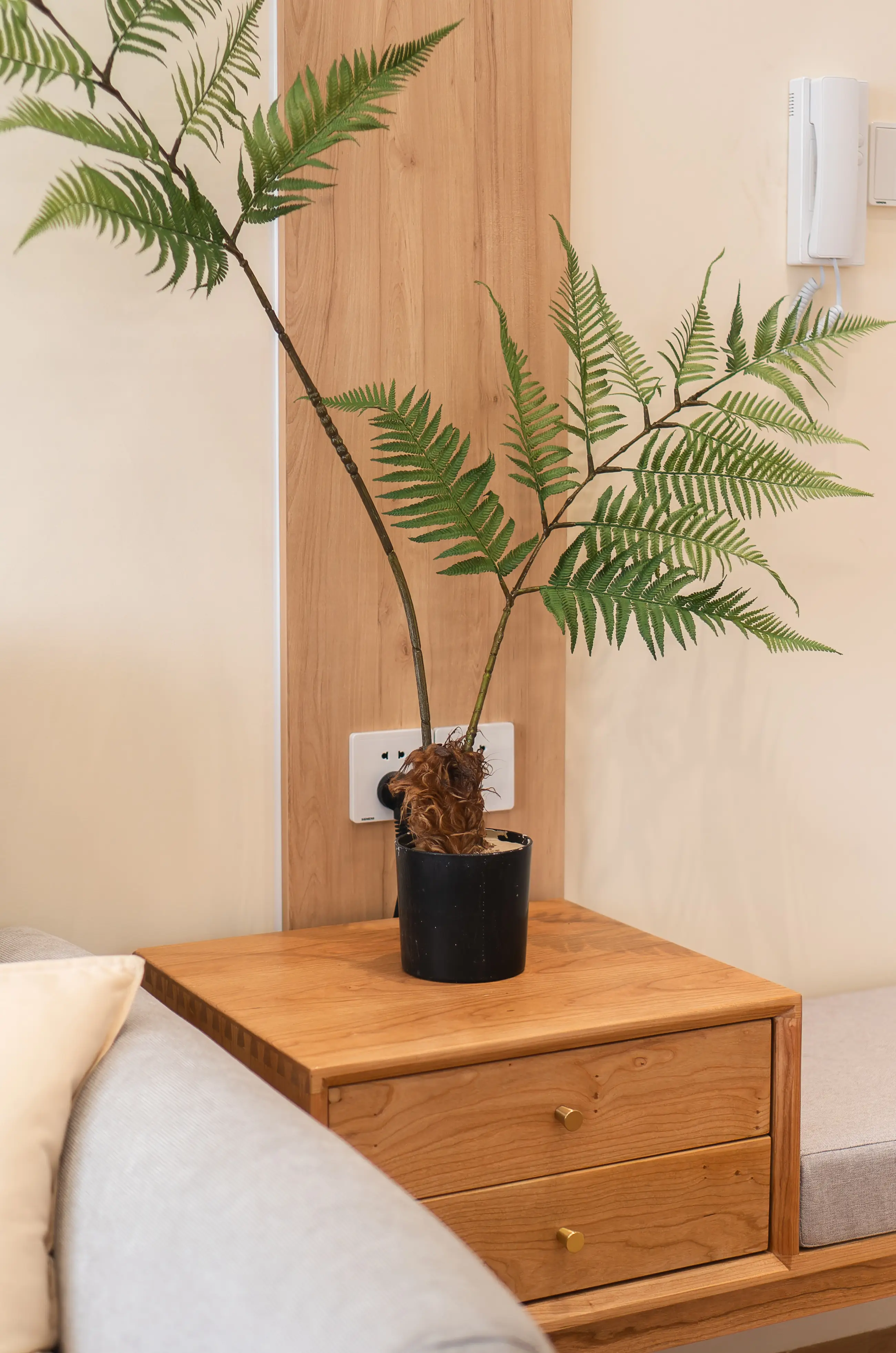 打工人充电屋，绿植点缀的清新原木风小家图片_1