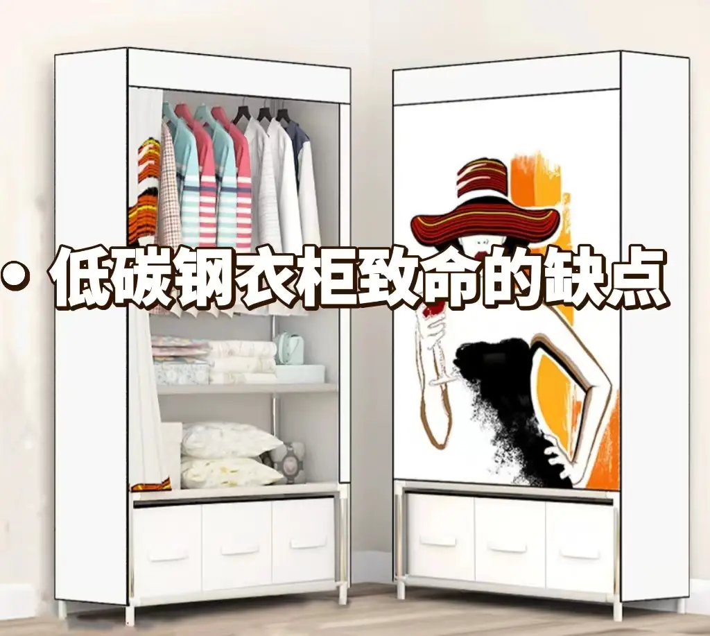 低碳钢衣柜致命的缺点图片_0