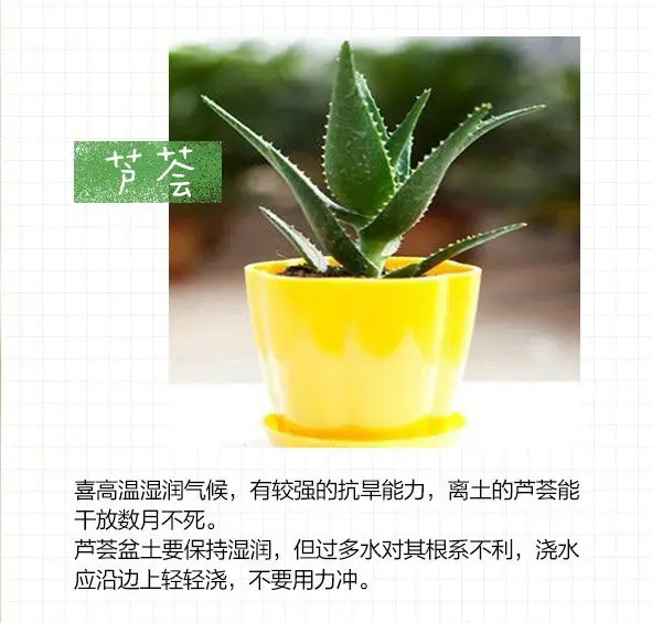 图片_5