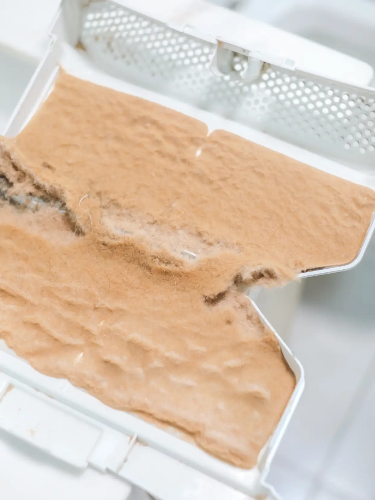 看完这些毛絮还觉得干衣机在北方多余吗？图片_6