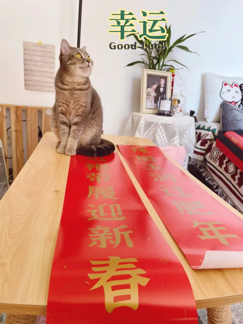 🧧红红火火过大年🧧图片_7