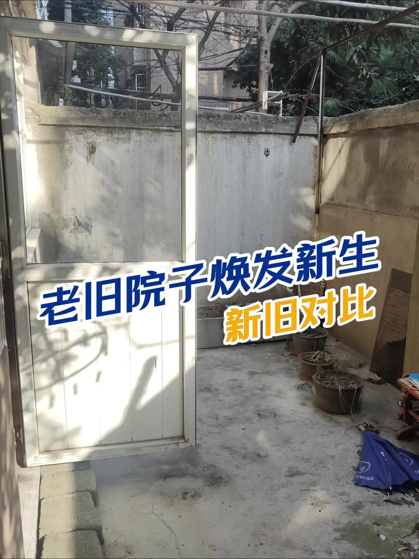 老旧院子焕发新生